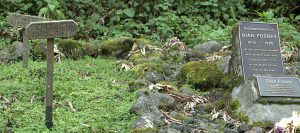 Dian Fossey Grave Yard