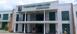 Dian Fossey Gorilla Fund