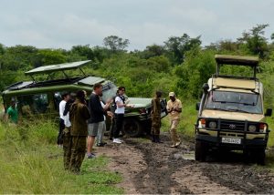 Rwanda Wildlife Tours
